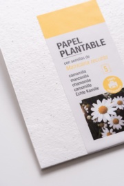 Paper plantable A5 - Camamilla