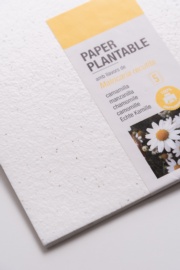 Plantable paper A4 - chamomile (Seedpaper)