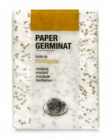 Paper germinat - mostassa