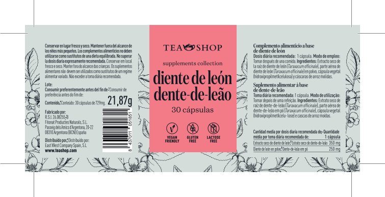 Diente de León - Ítem1