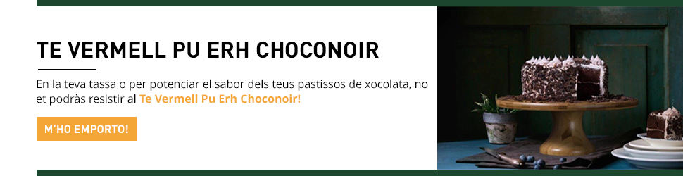 pastís de xocolata