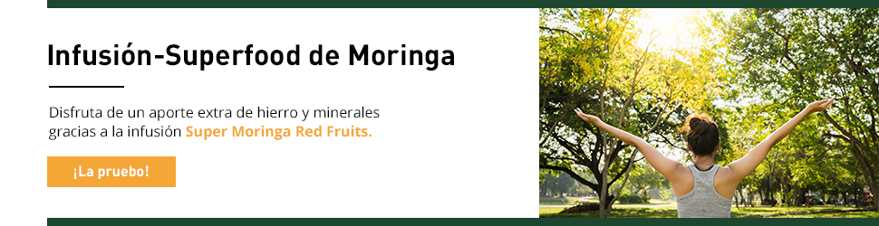 moringa propiedades