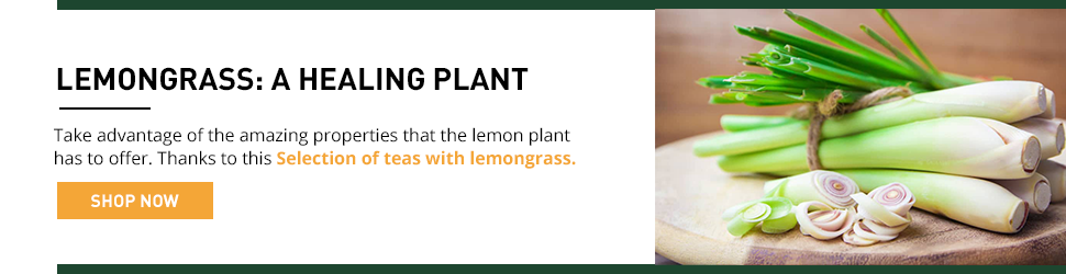 lemongrass