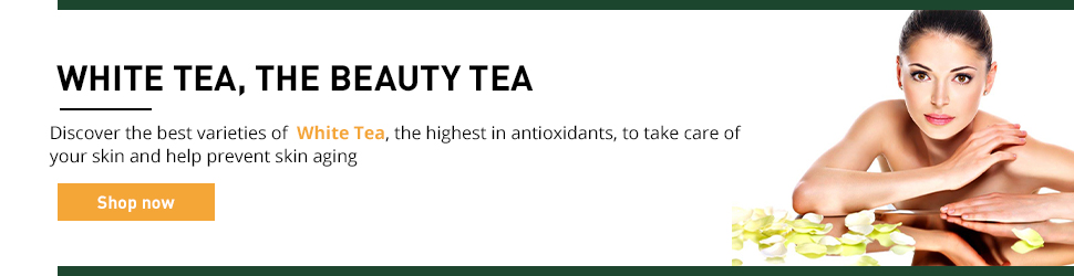 antioxidants white tea