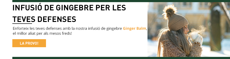 infusió de gingebre