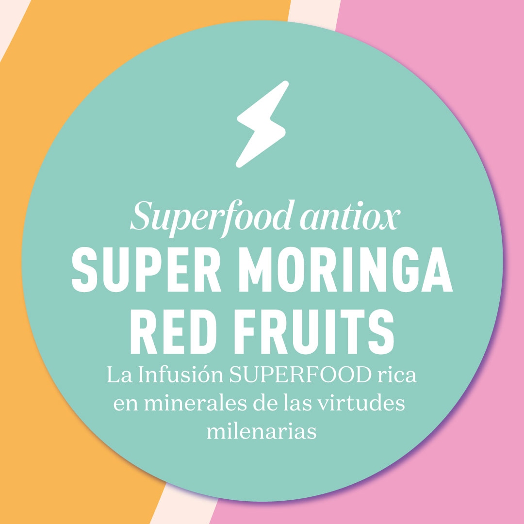 moringa propiedades