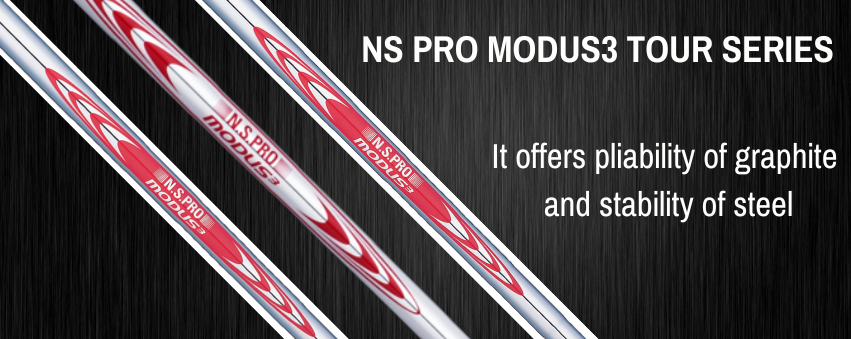 Nippon NS Pro Modus