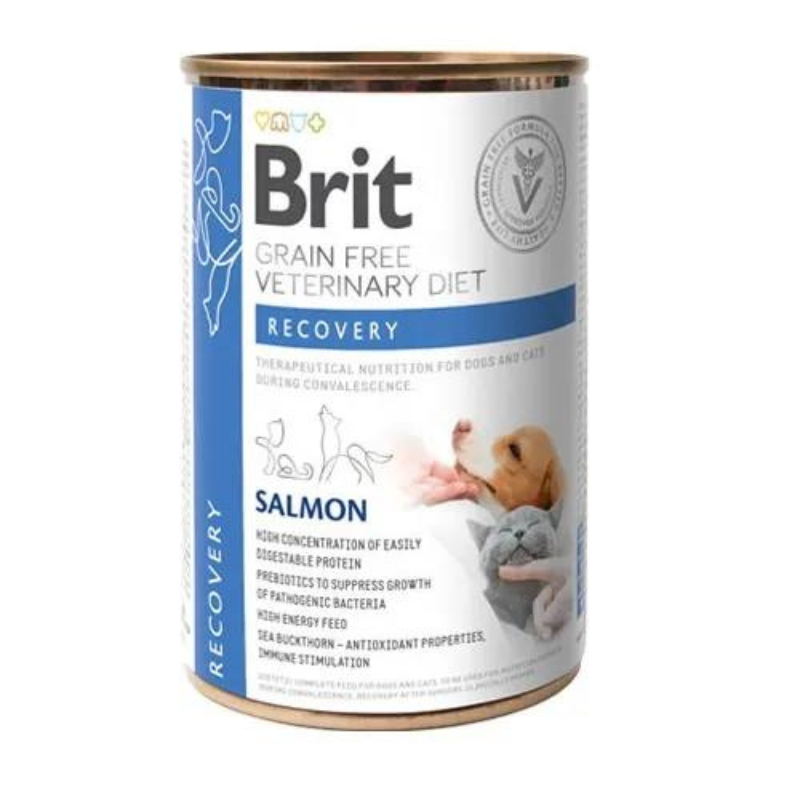 Latas de comida para perros convalecientes, marca Brit