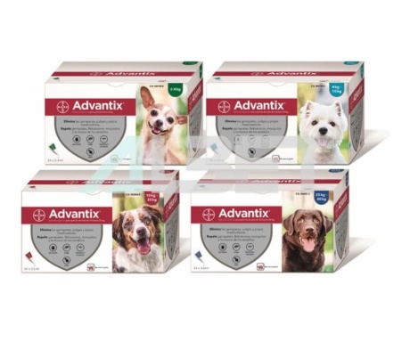 Advantix, pipetas antiparasitarias para perros,laboratorio Bayer