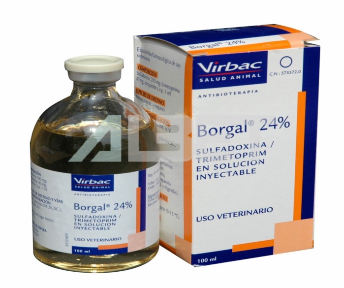 Amoxicillin Más Barato