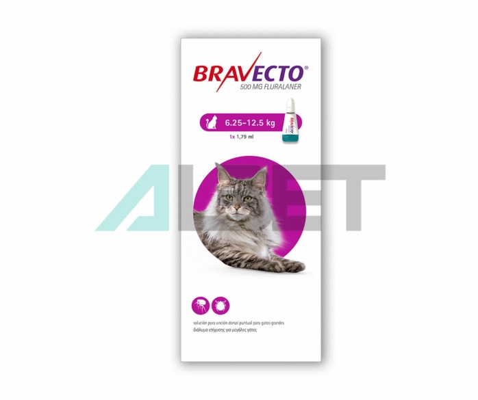 Bravecto Plus, pipetas antiparasitarias para gatos, laboratorios MSD