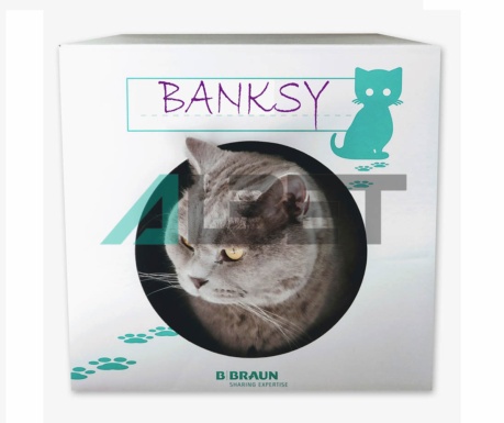 Caseta para gatos hospitalizados, marca BBraun