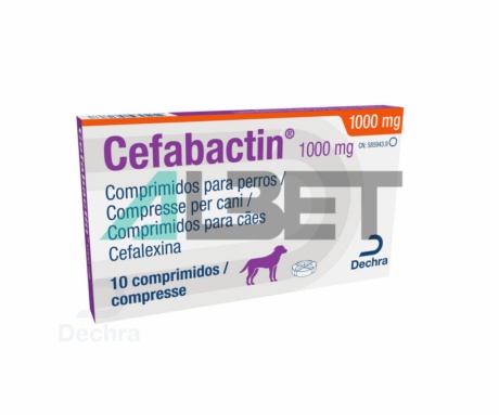 Cefalexina, antibiòtic comprimits veterinaris, marca Dechra