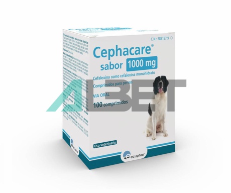 Antibiòtic en comprimits per gats i gossos, marca Ecuphar