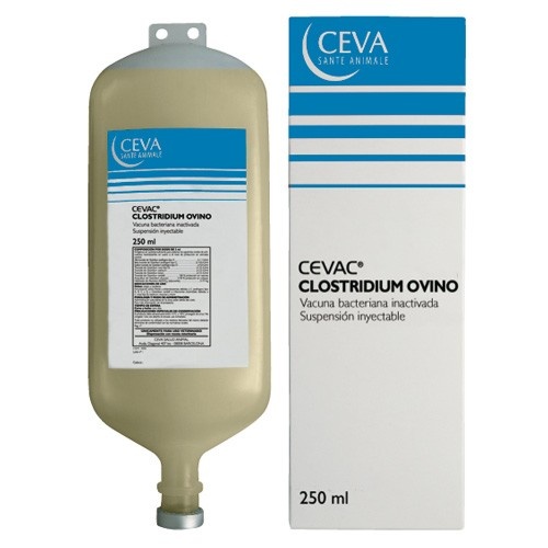 Cevac clostridium