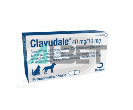 Antibiótico en comprimidos para gatos y perros, marca Dechra