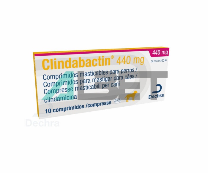 Clindabactin, comprimidos anbitiótico para perros y gatos, laboraorio Dechra
