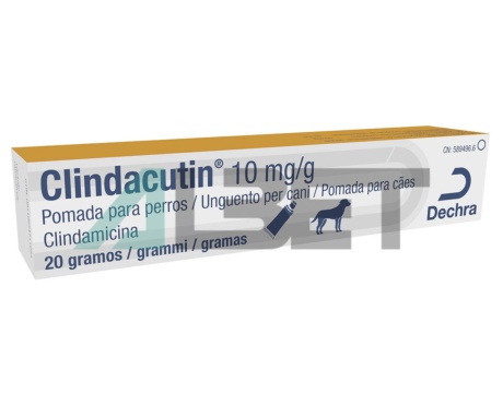 Clindacutin, pomada antibiòtica per gossos, marca Dechra