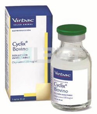 Cyclix Bovino, prostaglandina per vaques, laboratori Virbac