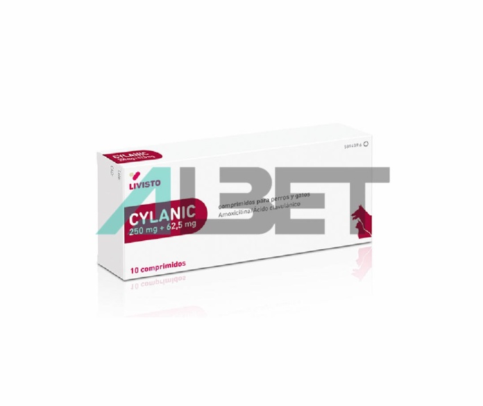 Cylanic 250/62.5mg, antibiótico en comprimidos para gatos y perros, marca Livisto
