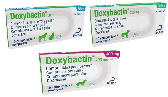 doxybactin 