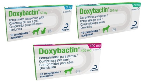 doxybactin 