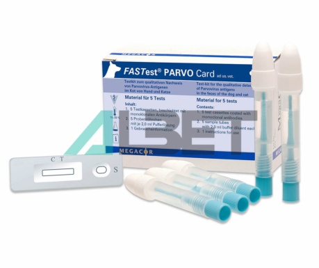 Fastest Parvo, test para diagnosticar parvovirus canino, marca Hifarmax