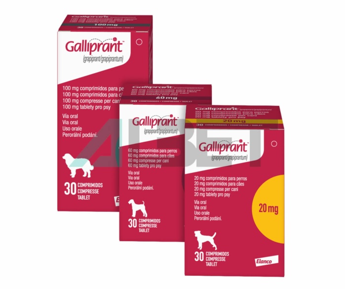 Comprimidos antiinflamatorios para perros, marca Elanco