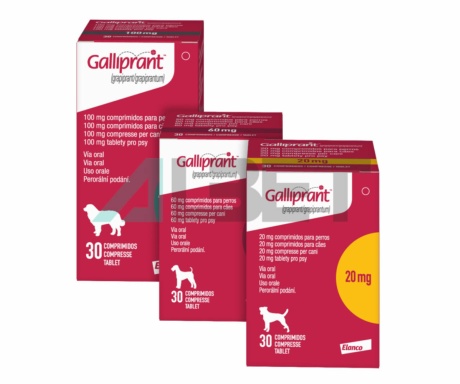 Comprimits antiinflamatoris per gossos, marca Elanco