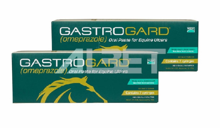 gastrogard-omeprazole-for-horses-boehringer-ingelheim-animal-health
