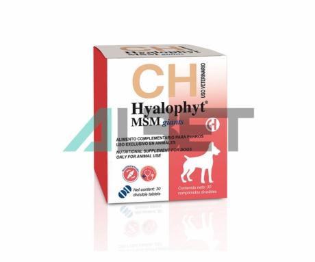 Hyalophyt MSM Razas Gigantes, condroprotector para perros, laboratorio Chemical Iberica
