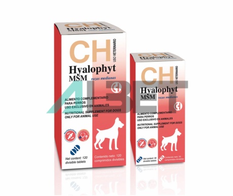Hyalophyt MSM Razas Mitjanes, condroprotector per gossos, laboratori Chemical Iberica