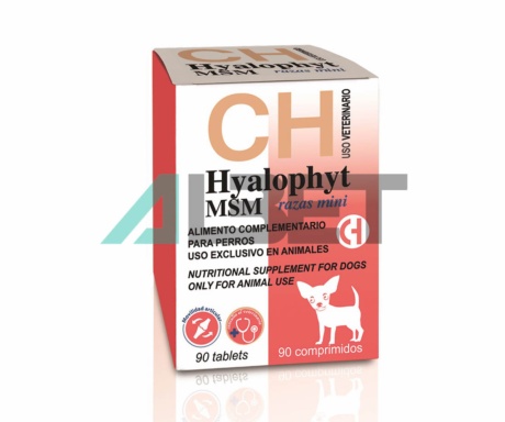 Hyalophyt MSM Razas Mini, condroprotector per gossos, laboratori Chemical Iberica
