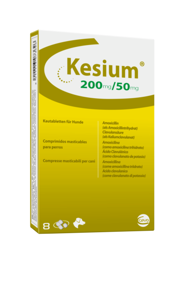 Kesium antibiótico en comprimidos para gatos y perros, laboratorio Ceva
