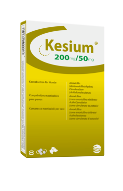 Kesium antibiótico en comprimidos para gatos y perros, laboratorio Ceva