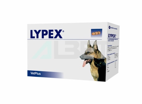Lypex 60 cápsulas con enzimas pancreáticas para perros