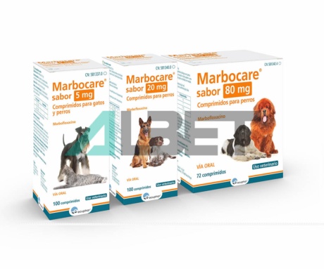 Comprimidos de marbofloxacina antibiótico para gatos y perros, marca Ecuphar