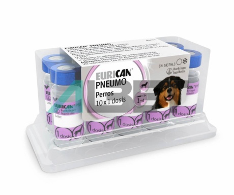 Vacuna contra tos de les gosseres per gossos, marca Boehringer Ingelheim