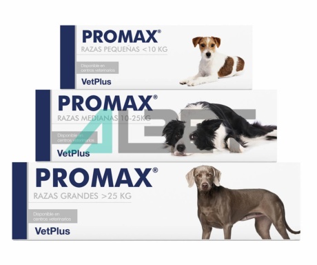 Prebiótico y probiótico para gatos y perros, marca Vetplus