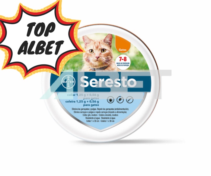 Collar antiparasitario contra pulgas y garrapatas para gatos, marca Bayer