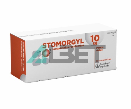 Stomorgyl antibiótico oral en comprimidos para gatos y perros