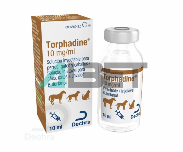 Torphadine anestèsic sedant per cavalls, gats i gossos, marca Dechra