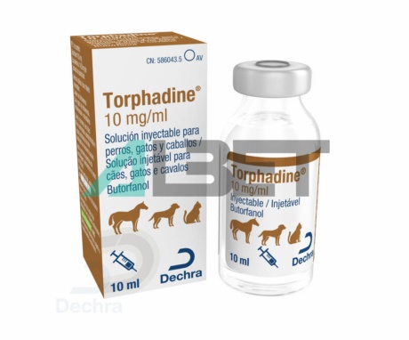Torphadine anestésico sedante para caballos, gatos y perros, marca Dechra