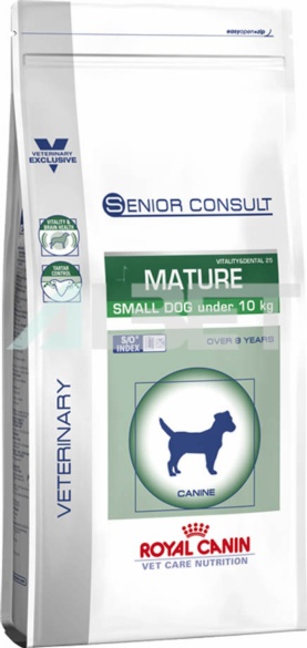 mature consult small dog