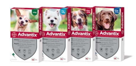 Advantix, pipetas antiparasitarias para perros, marca Bayer