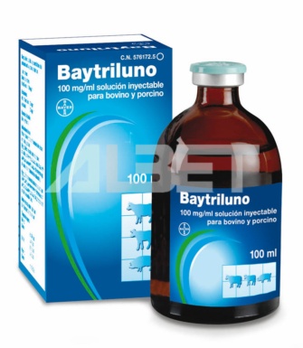 Enrofloxacino inyectable para cerdos y vacas, laboratorio Bayer