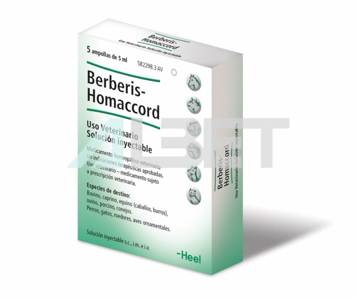 Berberis Homaccord, homeopatia veteriàaria injectable per sistema urinari i renal, marca Heel