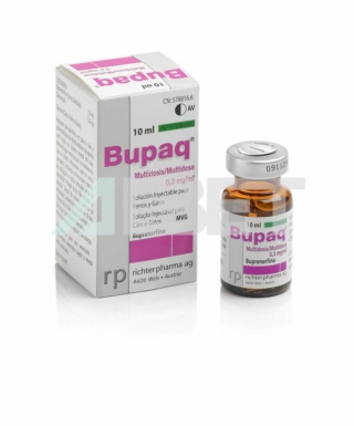 Bupaq, analgésico inyectable para gatos y perros, laboratorio Karizoo