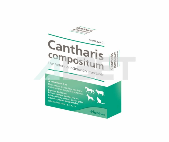 Cantharis Compositum, homeopatia para perros y gatos, marca Heel