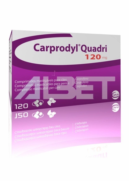 Carprodyl Quadri comprimidos antiinflamatorio y analgésico para perros, laboratorio Ceva